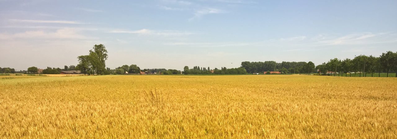 harvest